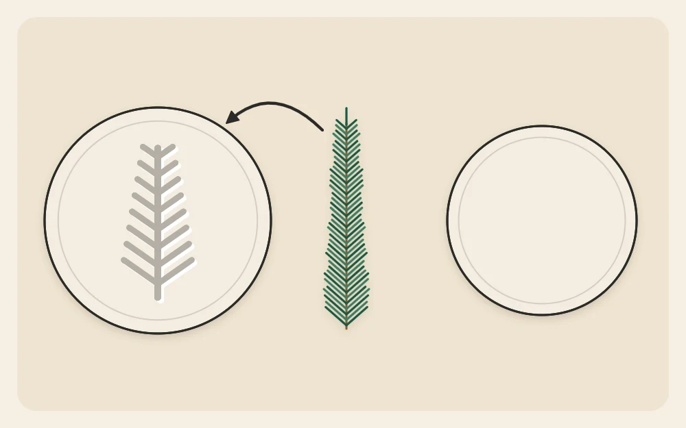 A clay disc with a pressed sprig texture next to the sprig that made it, and a plain disc for comparison